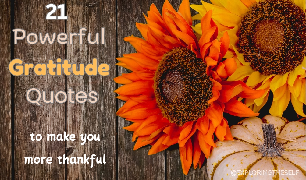 Being Grateful: 21 Gratitude Quotes That You Need, To Feel More Thankful & Joyful