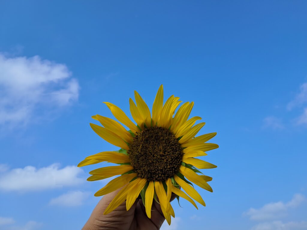 Self-love journey