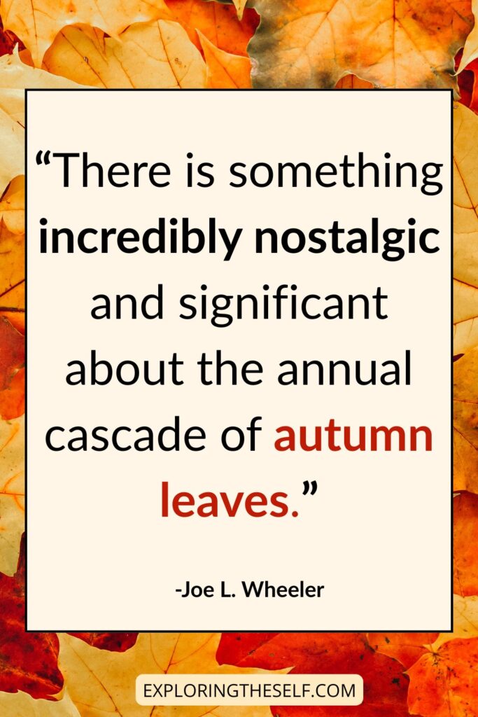 45+ Cozy Autumn Quotes to get you inspired