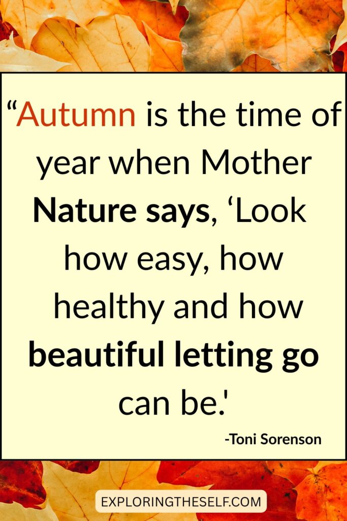 45+ Cozy Autumn Quotes to get you inspired