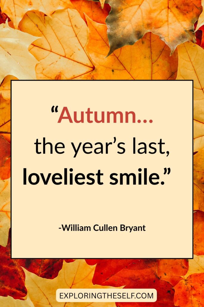 45+ Cozy Autumn Quotes to get you inspired